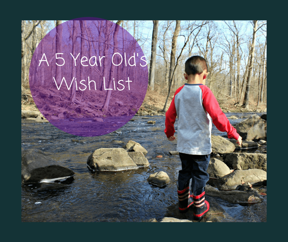 A 5 Year Old's Wish List (1)